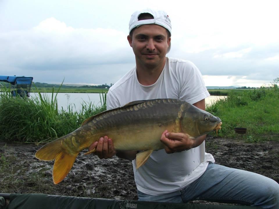 Lates iunie 2013 - 1044736593196897414182317871999n.jpg